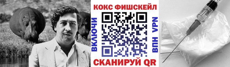 Купить закладки  Горняк  Cocaine VHQ 
