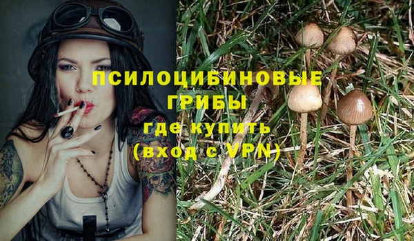 трава Нефтегорск