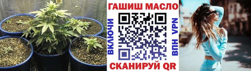 Купить  Горняк  ТГК вейп 